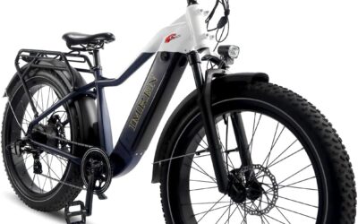 IMREN Electric Bike 750W Motor – Reviews