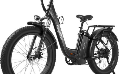 Heybike Explore Electric Bike for Adults – Reviews