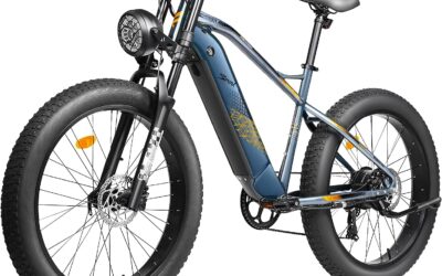 FREESKY 750W Electric Bike for Adults – Reviews