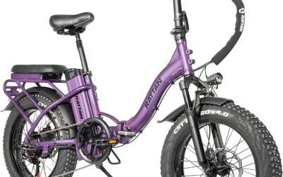 Rattan Folding Electric Bike 750W – Reviews