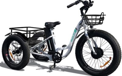 Emojo Electric Tricycle /Fat Tire Caddy Pro Trike – Reviews