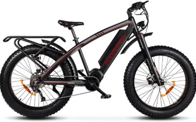 Addmotor Wildtan E-bike Reviews