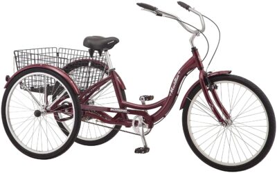 Schwinn Meridian Adult Tricycle Reviews